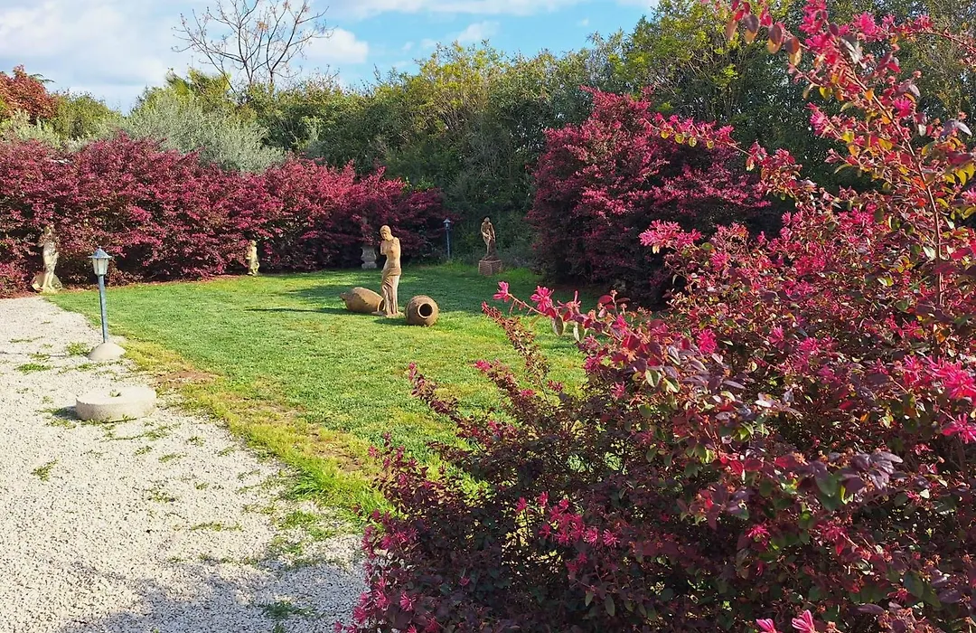 Casa Mattia - B&B in Legno&Paglia-1